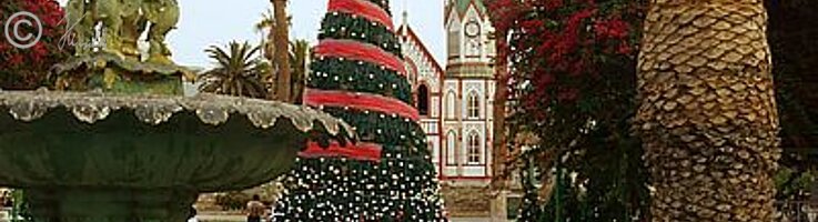 Blick über den Platz des 21. Mai mit Weihnachtsbaum zur Catedral de San Marcos