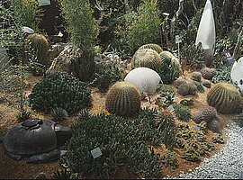 Sukkulentenbeet im Flower Dome mit Fischplastiken 
