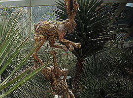 aus einer Wurzel geschaffene Hasenskulptur im Flower Dome
