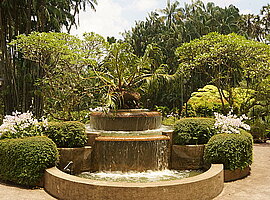 Springbrunnen mit Bepflanzung