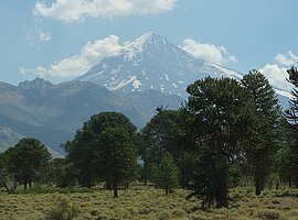 Blick über Aruacarien auf den Vulkan Lanin