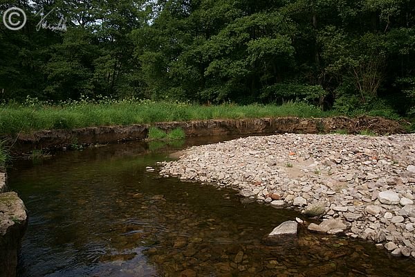 Bachschlinge mit Uferabbruch an der Gro&szlig;en L&ouml;&szlig;nitz