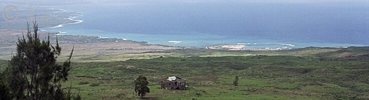 Blick vom Mamalahoa Highway auf Küste bei Kona