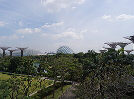 Blick vom Sheares Link-Durchgang auf die Gardens by the Bay