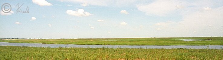 Blick über die Sumpflandschaft am Chobe River