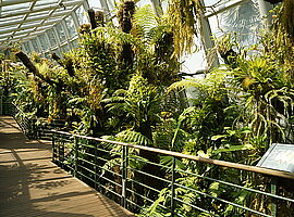 Orchideenhaus