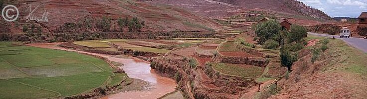 Reisfeldterrassen in einem Flußtal im Hochland zwischen Antananarivo und Antsirabe