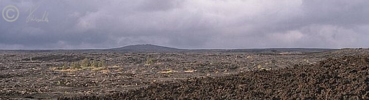 Blick über Lavastrom zum Mauna Loa