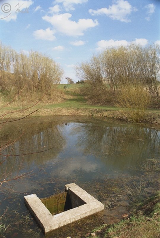 Blick auf den Teich am Pennymarkt 