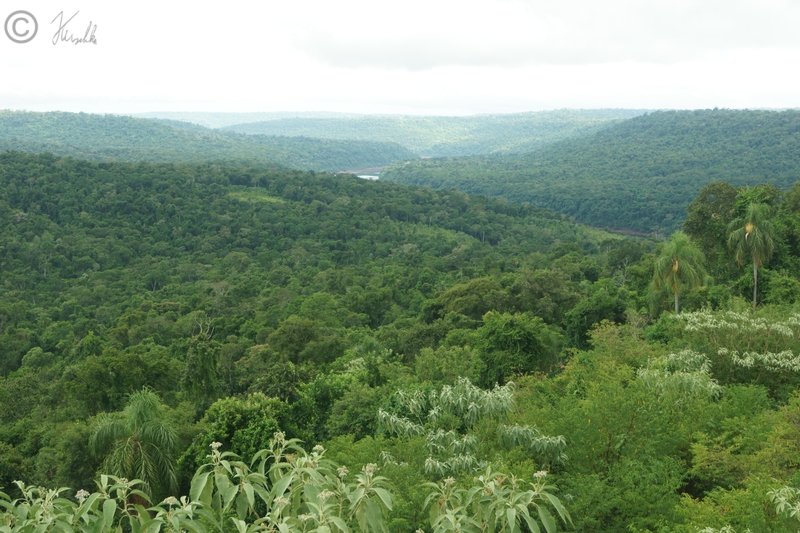 Blick ins Tal des Rio Yaboti