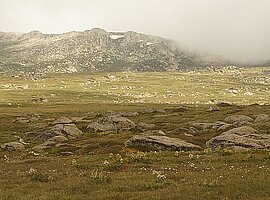 Nordosthang des Mt. Kosciuszko mit alpiner Grasvegetation, Granitfelsen und Schneefeldern