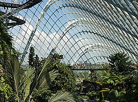 Blick auf die Treefern Cove im Cloudforest Dome