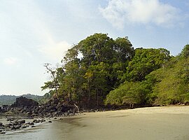 Strand in Manuel Antonio Nationalpark