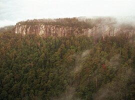 Dunst steigt vom Regenwald nach dem Gewitter auf