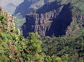 Blick in eine Nebenschlucht der Ribeira Prinzipal
