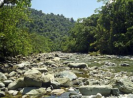Orosi River im Tapanti Nationalpark