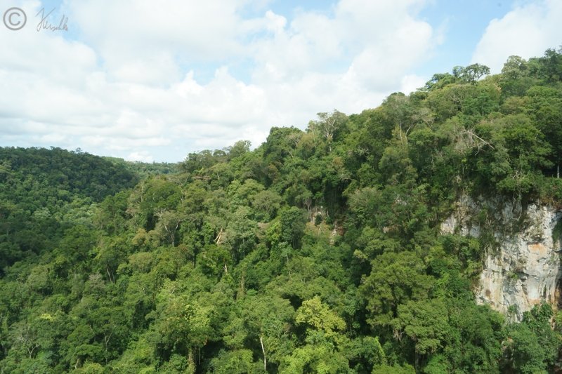 Blick über den Regenwald in der Schlucht